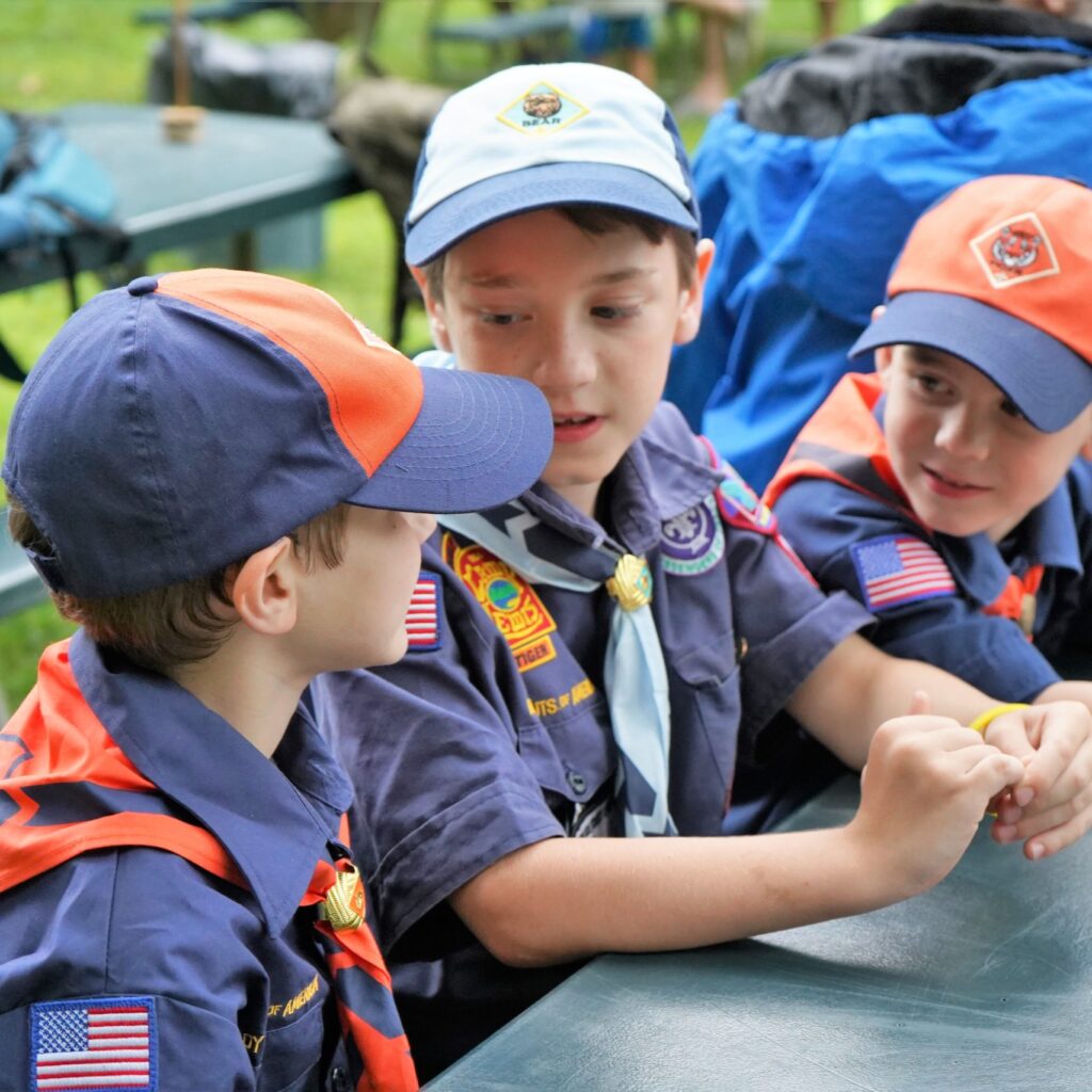 Cub Scouts at Camp