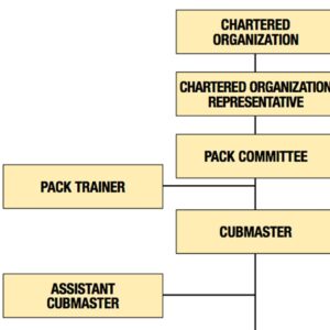 Chartered Representative Org Chart