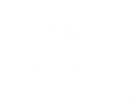 Scouting America